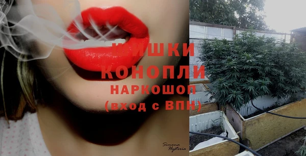 COCAINE Богданович