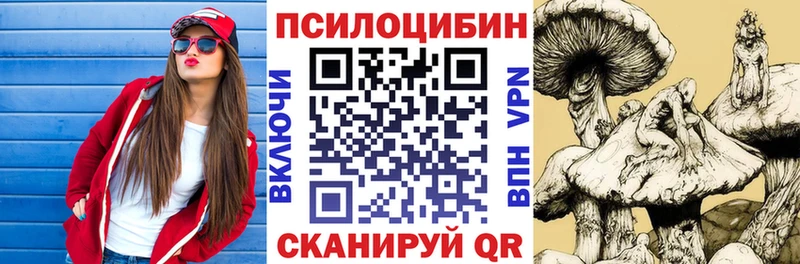 Псилоцибиновые грибы GOLDEN TEACHER  купить наркотики цена  маркетплейс официальный сайт  Наро-Фоминск 